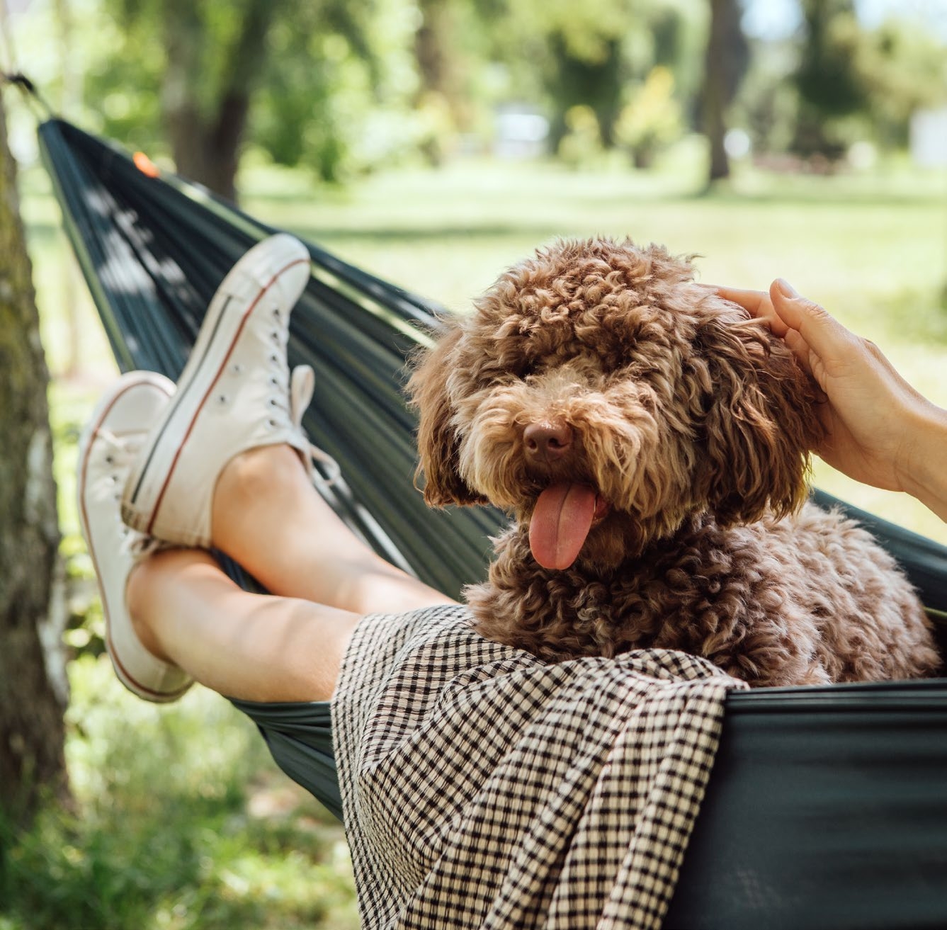 Diferenciais da área privativa - Varanda e Sala