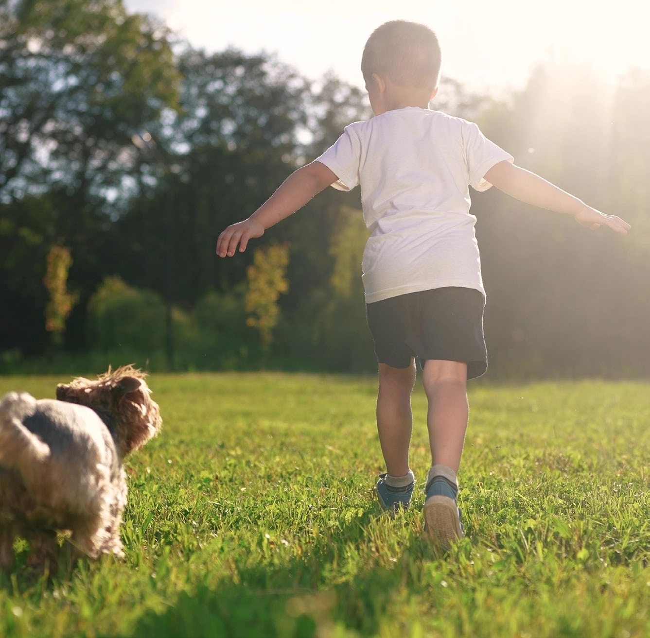 Família desfrutando do espaço